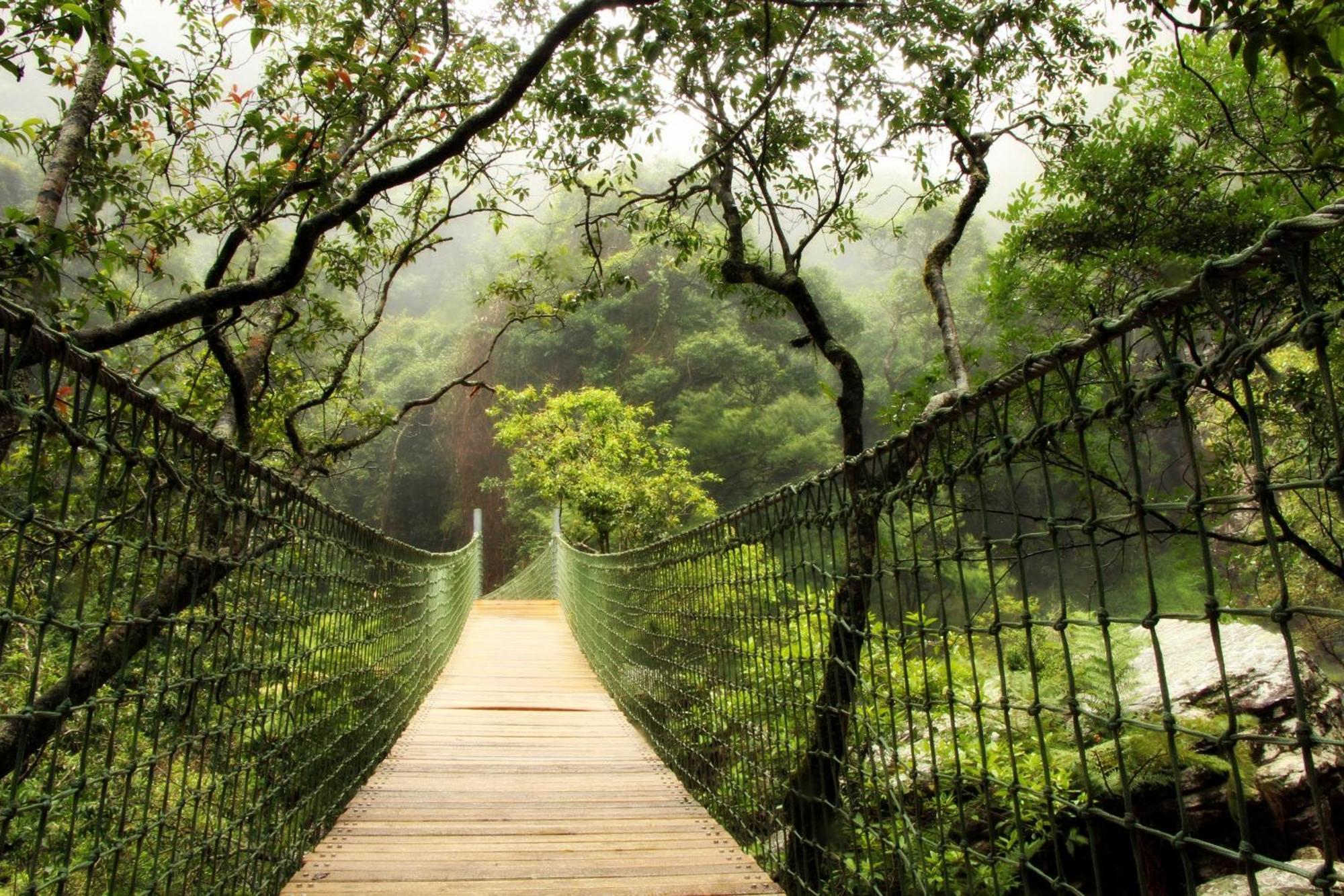 Mogodi Lodge Graskop Εξωτερικό φωτογραφία